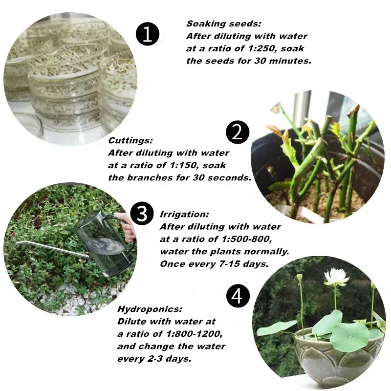 10g Quickly Rooting Powder Hor - Rooting Hormone Powder ulasan dan harga