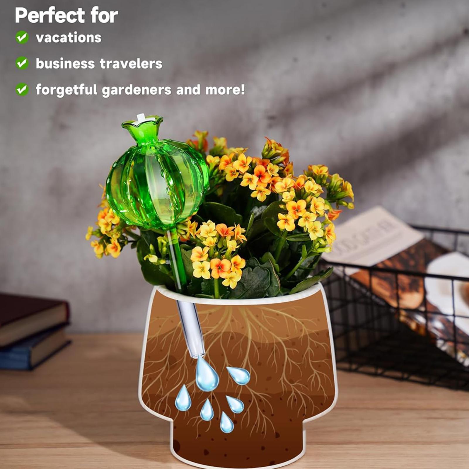 Plant Watering Stakes 3 Pieces - Self Watering Insert ulasan dan harga