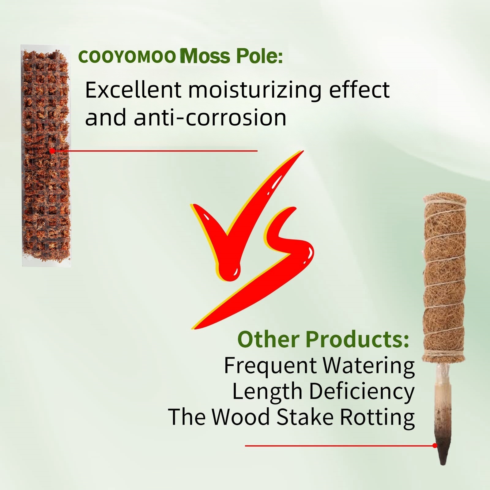 Plastic Moss Pole,24in/36in/48 - Sphagnum Moss Dry ulasan dan harga