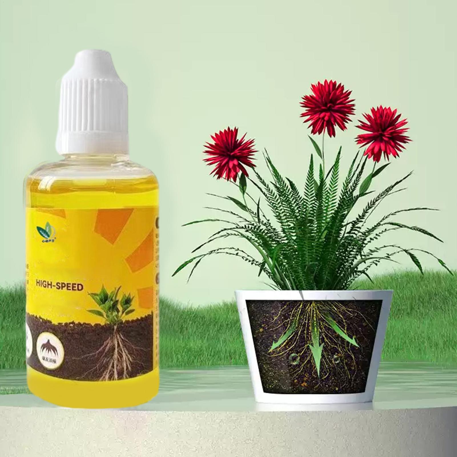 Plant Rapid Rooting Solution 5 - Root Stimulator Liquid ulasan dan harga