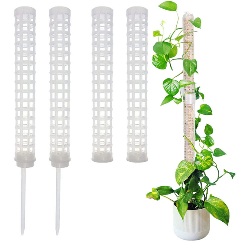 Plant Climbing Column Sphagnum - Sphagnum Moss Dry ulasan dan harga