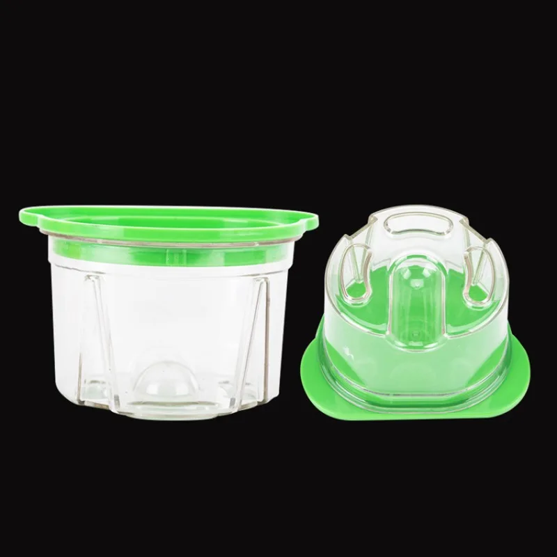 3Pcs Dental Plastic Agar Box D - Agar Tissue Culture ulasan dan harga