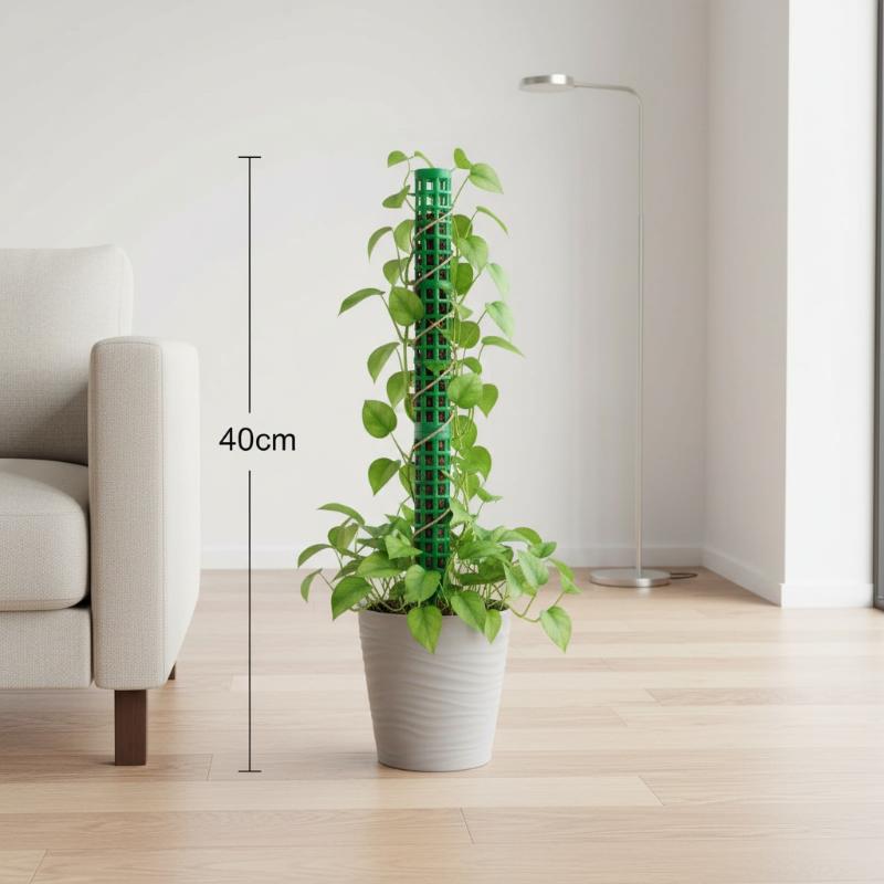 Plant Climbing Frame Extendabl - Sphagnum Moss Dry ulasan dan harga