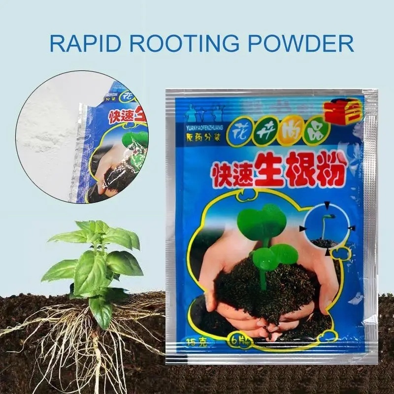 5pcs Fast Rooting Powder Plant - Rooting Hormone Powder ulasan dan harga