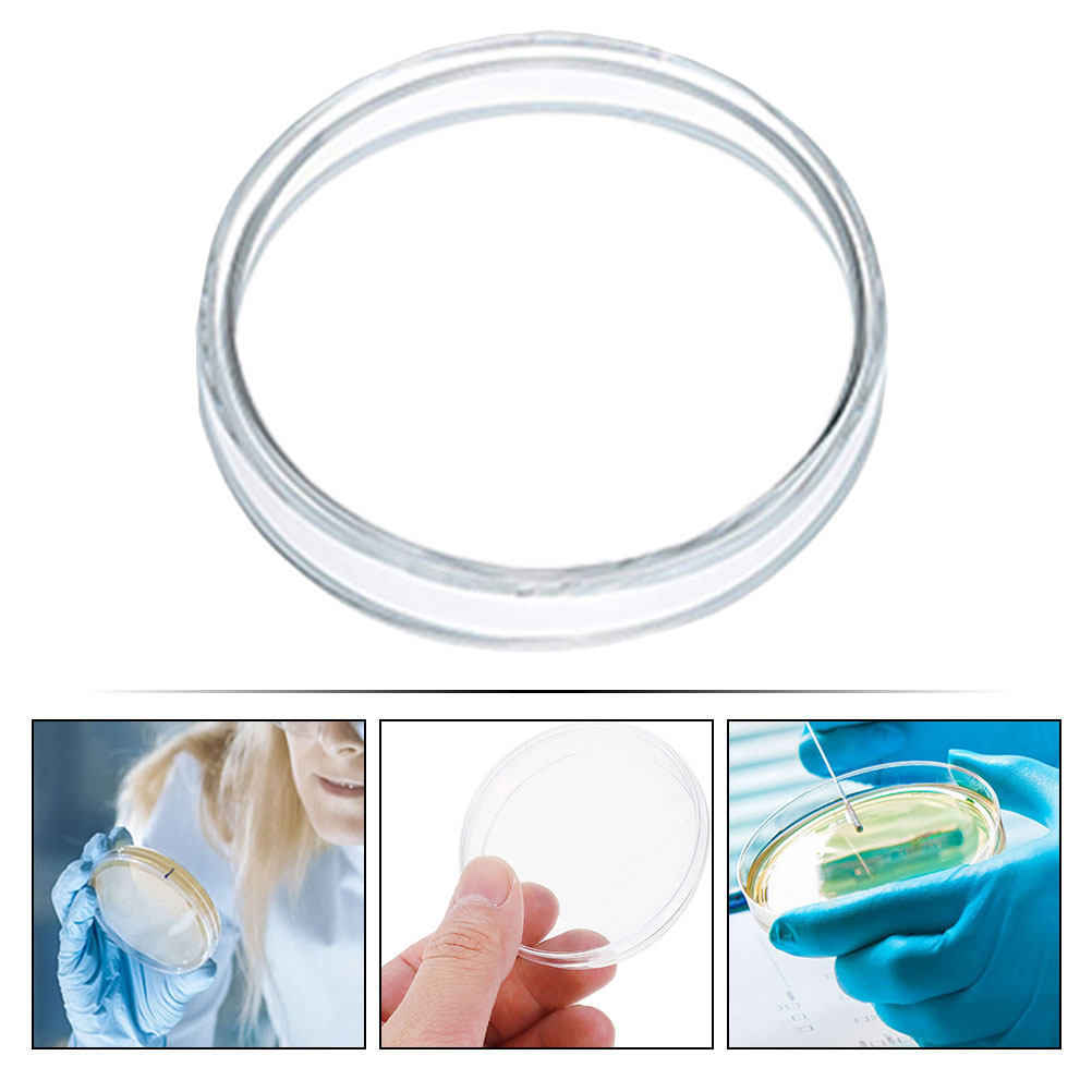 10Pcs Plastic Petri Dishes Tra - Agar Tissue Culture ulasan dan harga