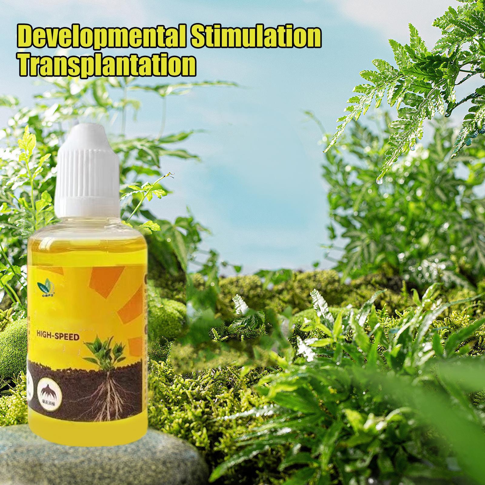 Fast Potting Rooting Plant Nut - Root Stimulator Liquid ulasan dan harga