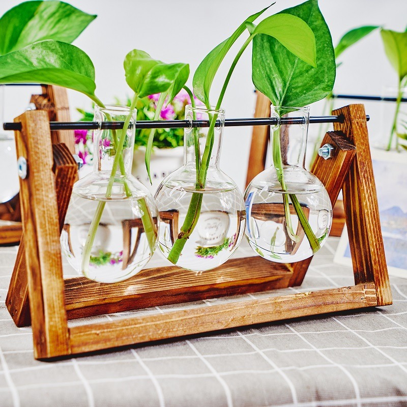 Tabletop Glass Planter Propaga - Propagation Station Vase ulasan dan harga