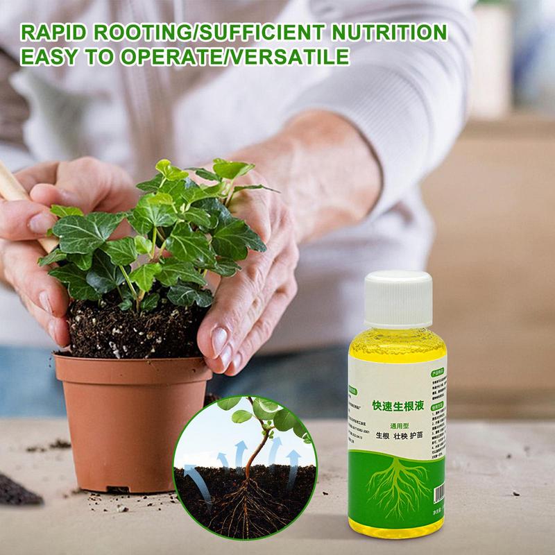 Root Booster for Plants Quick  - Root Stimulator Liquid ulasan dan harga