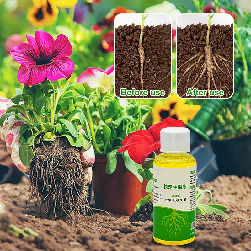 Root Booster for Plants Quick  - Root Stimulator Liquid ulasan dan harga