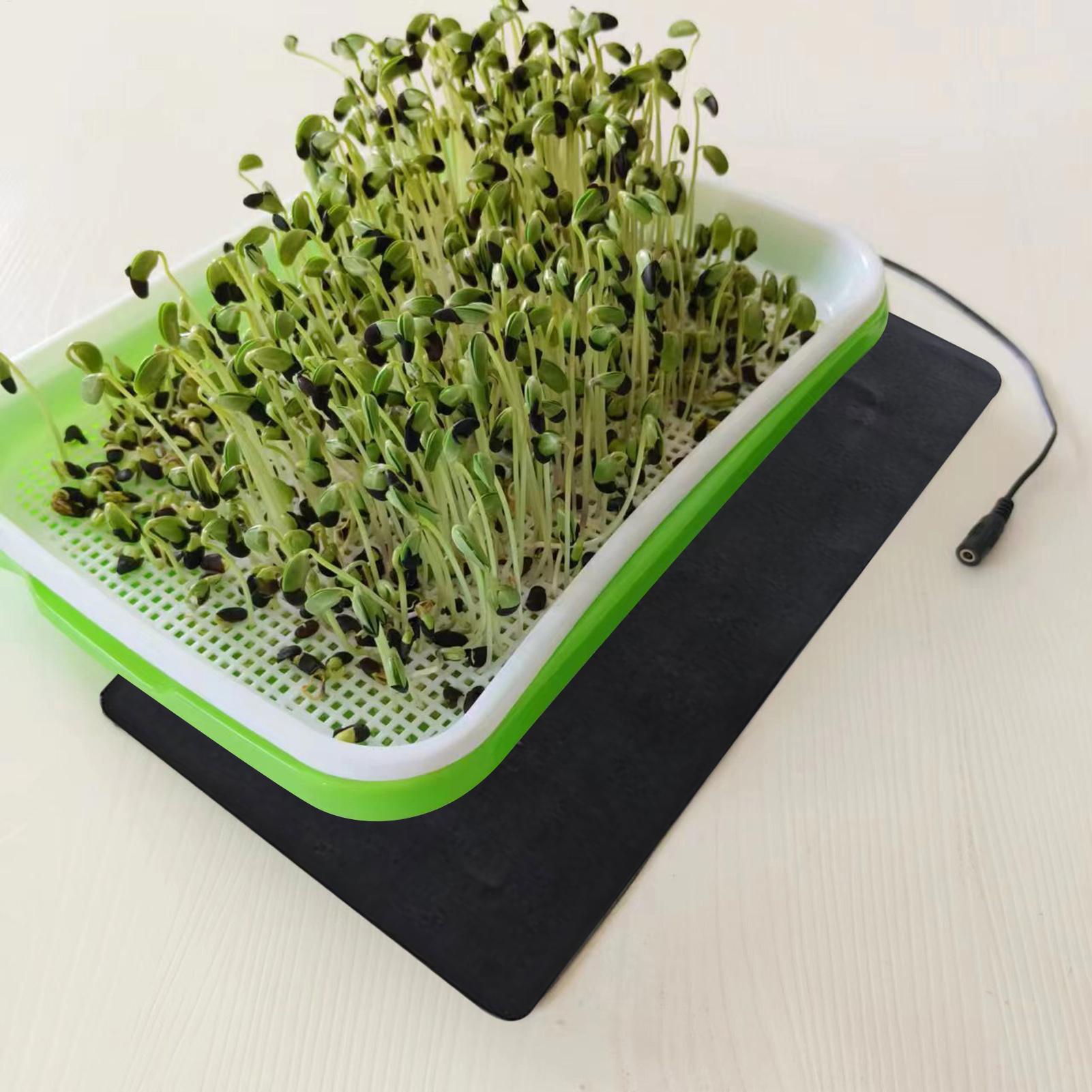Seedling Heat Mat 5V 2A 8.5W P - Heat Mat Seedling ulasan dan harga