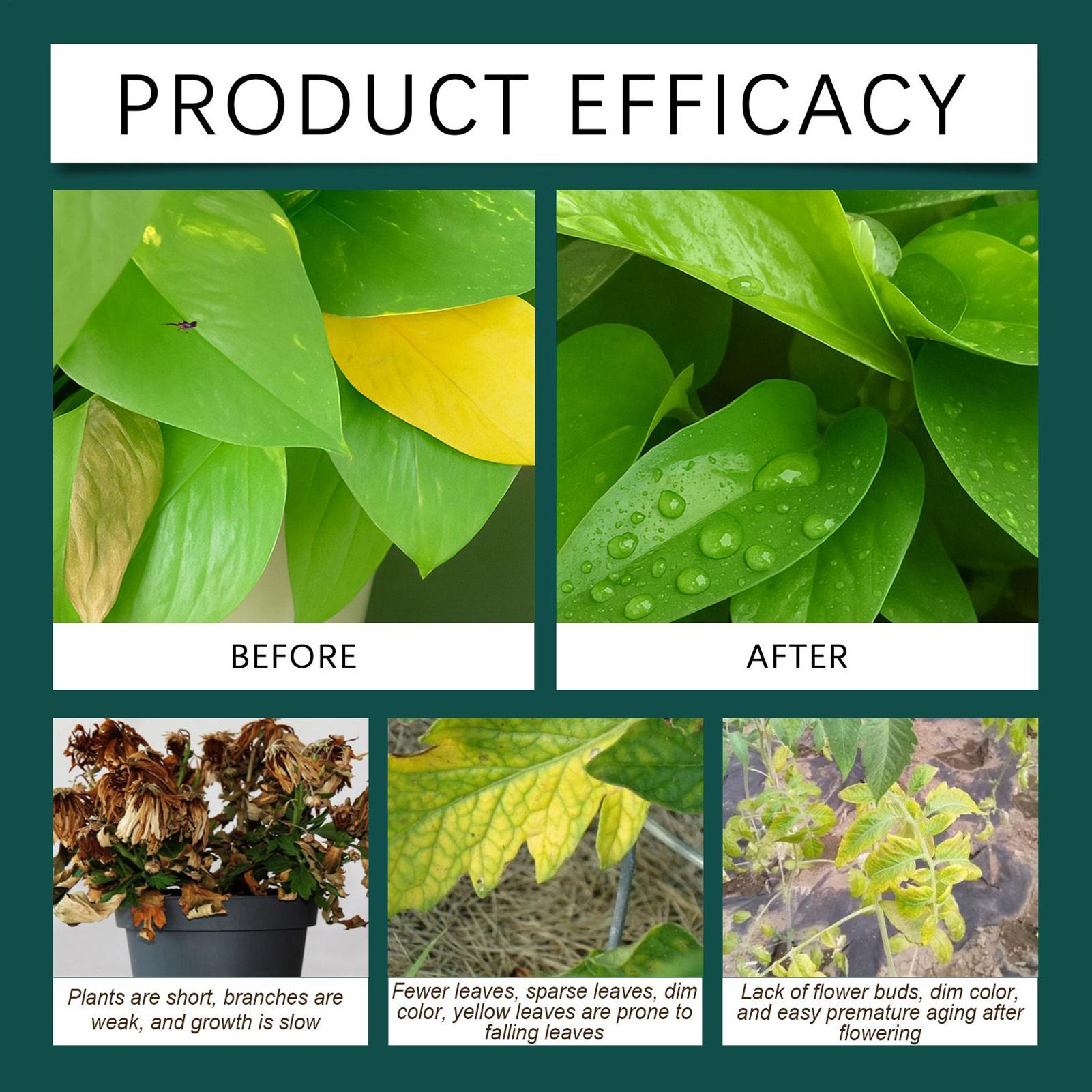 100ml Plant Rooting Liquid Dro - Root Stimulator Liquid ulasan dan harga